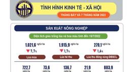 Tình hình kinh tế – xã hội tháng 7 và 7 tháng năm 2022