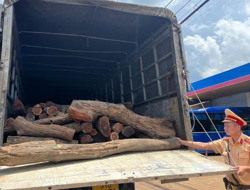 Huyện Ea H’leo: Phát hiện xe tải chở gỗ không rõ nguồn gốc