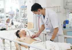 Ngộ độc tập thể nghi do ăn ấu trùng ve sầu