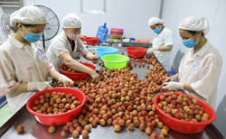 Nông sản Việt chinh phục thị trường Thái Lan