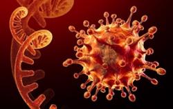 Số mắc Covid-19 tăng hơn 40%, biến thể phụ nào đang chiếm ưu thế?