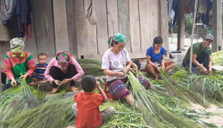 Nỗ lực thoát nghèo của đồng bào Mông ở Krông Bông