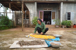 Xin được… thoát nghèo