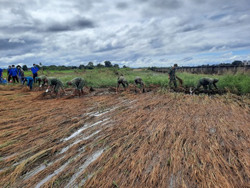 Lực lượng vũ trang chủ động ứng phó với tình hình mưa lũ