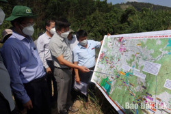 Lập kế hoạch chi tiết triển khai dự án thành phần 3 thuộc Dự án đầu tư xây dựng cao tốc Khánh Hòa – Buôn Ma Thuột