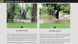 Nhiều hoạt động hưởng ứng ngày Voi thế giới 12/8