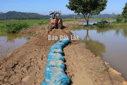 Huyện Lắk: Chủ động khắc phục hậu quả mưa lũ