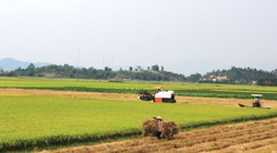 Đánh thức đại ngàn (kỳ 1)