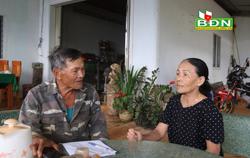 Kiến nghị khởi tố vụ cấp 65 "sổ đỏ” ở Đắk Som