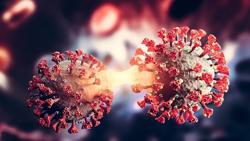 Bộ Y tế đính chính về việc Việt Nam ghi nhận biến thể phụ BA.2.74, không phải BA.2.75