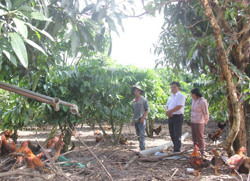 Hơn 254 tỷ đồng để cho vay vùng đồng bào dân tộc thiểu số