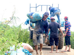 Dồn sức khắc phục hậu quả mưa lũ