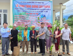 Huyện Lắk: Gần 87 nghìn cây giống hỗ trợ cho người dân vùng đồng bào dân tộc thiểu số