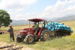 Đánh thức đại ngàn (kỳ 4)