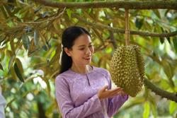 Trung Quốc kiểm tra cơ sở đóng gói, vùng trồng sầu riêng rất nghiêm ngặt