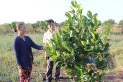 Huyện Ea Súp: 54.565 lượt hộ nghèo và các đối tượng chính sách được vay vốn ưu đãi