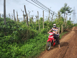 Nông dân bán ruộng rẫy: Những câu hỏi lớn song hành câu chuyện đô thị hóa