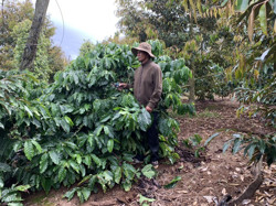 Bán đất 18 năm rồi mang đi... tặng cho