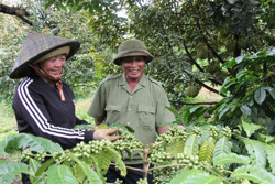 Đánh thức đại ngàn (kỳ 5)