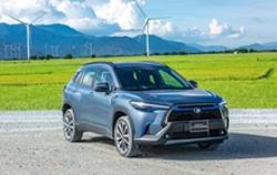 Ôtô nhập khẩu tăng mạnh trong tháng "cô hồn"