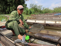 Thăng trầm nghề cá bên dòng Krông Ana