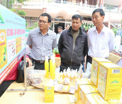 114 hợp tác xã ngừng hoạt động chưa được giải thể