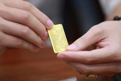 Đầu tư vào đâu sinh lời và an toàn?