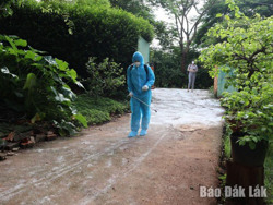 TP. Buôn Ma Thuột: Tiêu hủy 133 con lợn mắc dịch tả lợn châu Phi