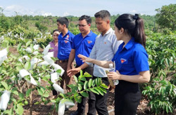 Thanh niên liên kết phát triển kinh tế