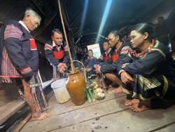 Phục dựng nghi lễ kết nghĩa anh em của dân tộc M’nông