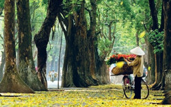 Du lịch Việt Nam 'ghi điểm' với truyền thông quốc tế