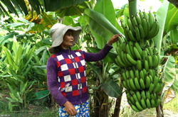 Huyện Krông Bông: Hơn 53 tỷ đồng thực hiện Chương trình giảm nghèo bền vững giai đoạn 2021 - 2025