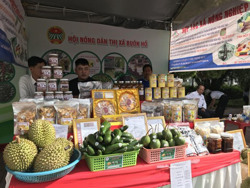 Xây dựng tư duy “chấp nhận thất bại” trong khởi nghiệp