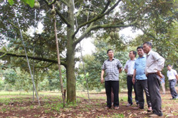 Lễ hội gắn cùng cơ hội đô thị