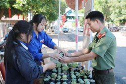 Đổi rác lấy... cây xanh