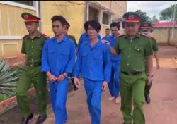 Thuê xe tải từ Bình Thuận lên Đắk Nông bắt trộm hơn 300 kg mèo