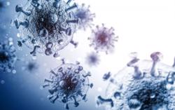 Tìm ra loại siêu kháng thể có thể vô hiệu hóa HIV