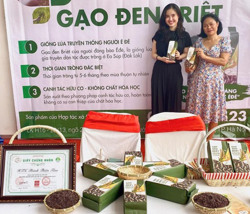 Liên kết sản xuất nông sản chất lượng cao