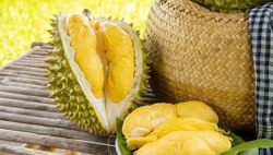 Không ăn sầu riêng khi uống rượu, bia