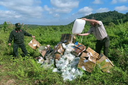 Tiêu hủy gần 200 kg ma túy đá