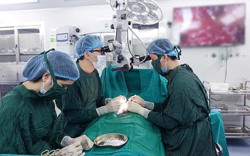 50% trường hợp vô sinh hiếm muộn là cặp vợ chồng dưới 30 tuổi