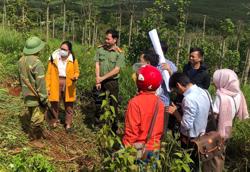 Cưỡng chế 53 trường hợp lấn chiếm 32 ha đất công