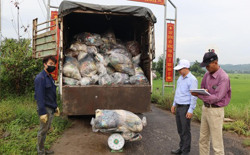 Huyện Krông Ana thu gom, xử lý hơn 3,1 tấn bao gói thuốc bảo vệ thực vật sau sử dụng