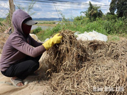 Nông dân huyện Lắk “trắng tay” sau lũ