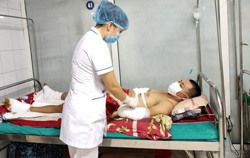 Nhiều trường hợp nhập viện vì dùng bài thuốc truyền miệng