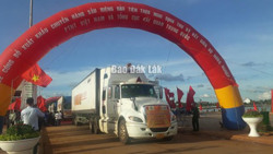 Sầu riêng Đắk Lắk - Đa Lạc Lưu Liên