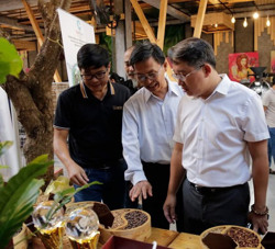 Mang cà phê đặc sản về "xứ trầm hương"