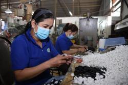 Chính sách BHXH, tiền lương công chức, viên chức có hiệu lực từ tháng 10-2022