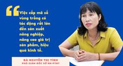 Mã số vùng trồng giúp kiểm soát chất lượng sản phẩm