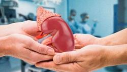Ghép thận ở Việt Nam có trình độ tương đương với thế giới